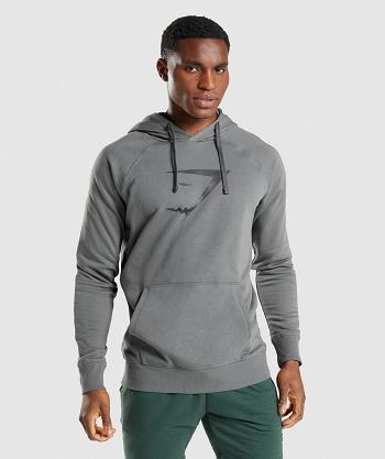 Sudadera Con Capucha Gymshark Sharkhead Infill Hombre Gris | CO 3631SGL